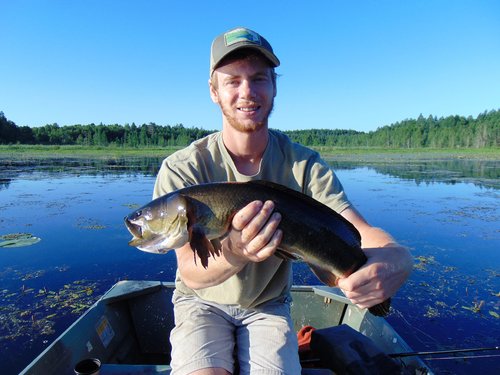 23 in. Bowfin Briggs Lake.JPG