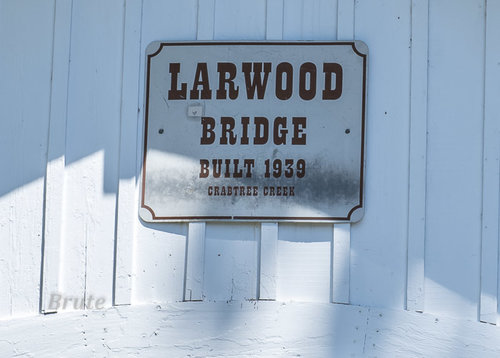 Covered Bridges July 2020 a-5241.JPG