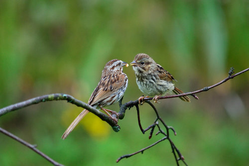 DSC_2560_363.JPG