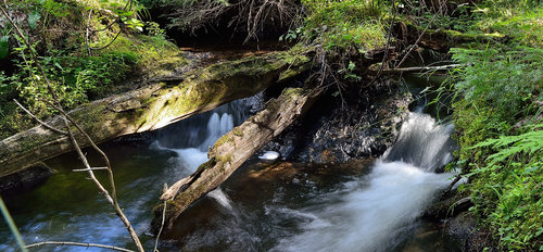 DSC_2754_392.JPG