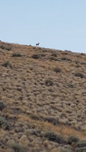20200730_194031.jpg 20200730_194031.jpg