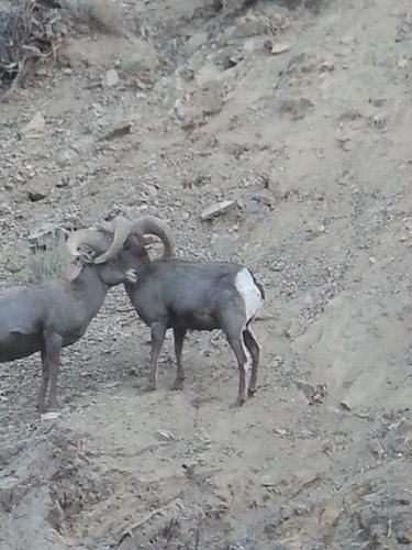 20191117_064453.jpg