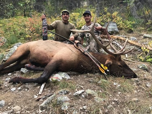 2018 Paul II 5pt Bull ID.JPG 2018 Paul II 5pt Bull ID.JPG