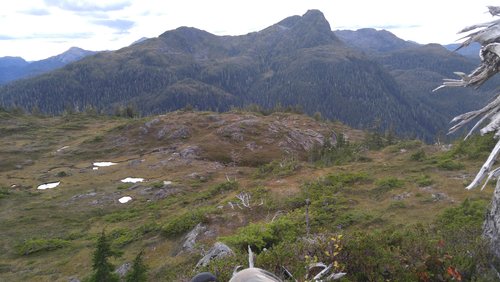 2016-09-03 16.47.17.jpg 2016-09-03 16.47.17.jpg