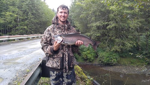 2016-09-05 14.43.34.jpg 2016-09-05 14.43.34.jpg