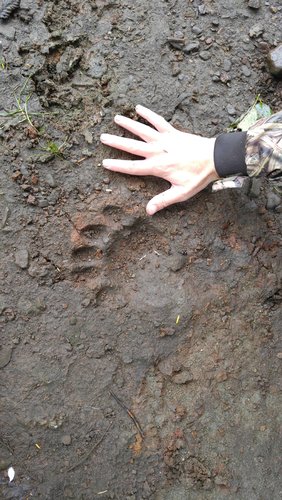 2016-09-05 12.00.08.jpg 2016-09-05 12.00.08.jpg