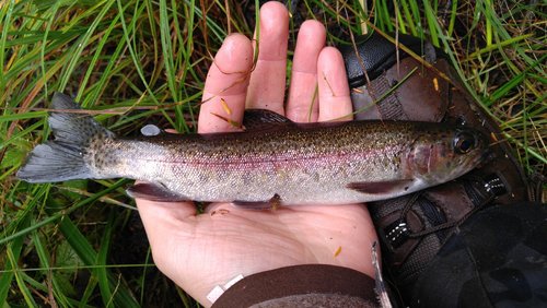 2016-09-08 13.04.13.jpg 2016-09-08 13.04.13.jpg