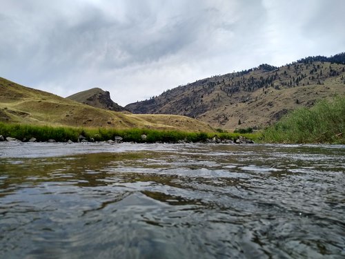 Cooling off and catching cutts.jpg