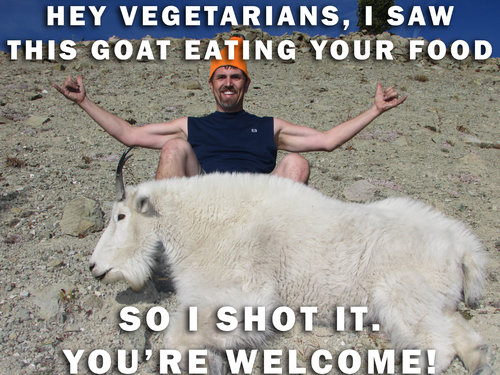 Vegan copy.jpg Vegan copy.jpg