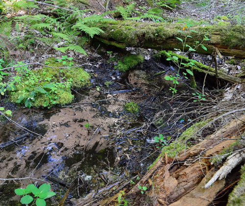 DSC_2896_410.JPG DSC_2896_410.JPG