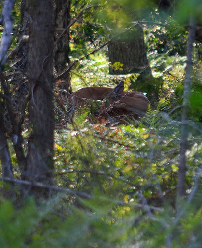 DSC_2968_420.JPG DSC_2968_420.JPG