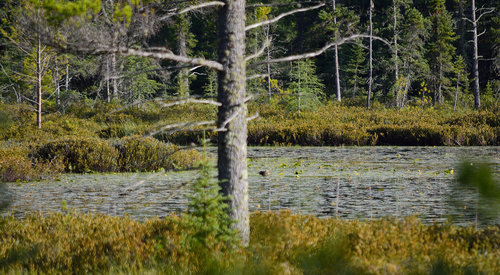 DSC_2976_421.JPG DSC_2976_421.JPG