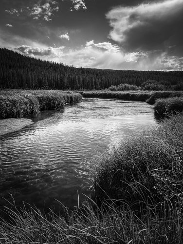 C9221943-554E-4964-8001-771D20126041.jpeg C9221943-554E-4964-8001-771D20126041.jpeg