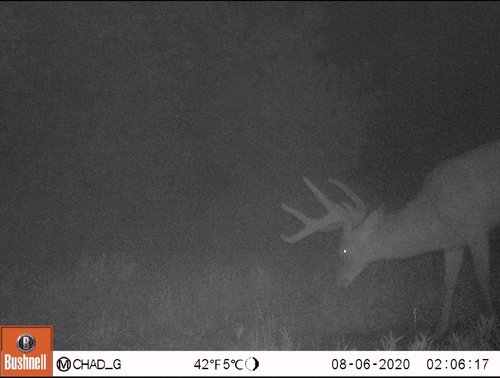 Screenshot_20200807-205803_Gallery.jpg Screenshot_20200807-205803_Gallery.jpg