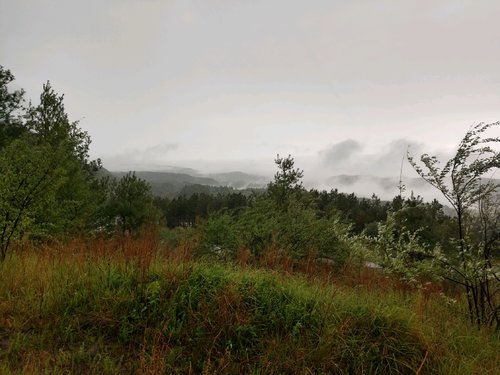 fog on turkey mountain.jpg