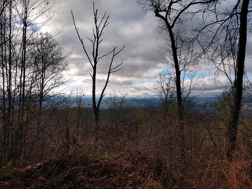 black mountain strip top.jpg