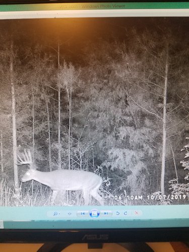 20191119_144838.jpg 20191119_144838.jpg