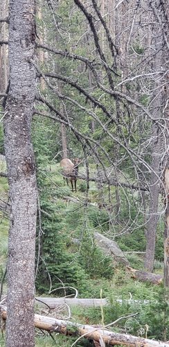 20200808_191259.jpg