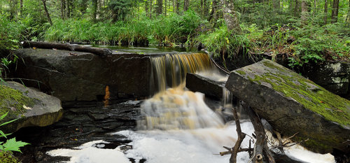 DSC_3003_422.JPG DSC_3003_422.JPG