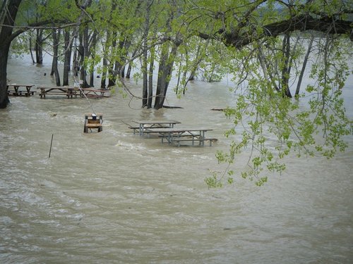 flood 001.JPG