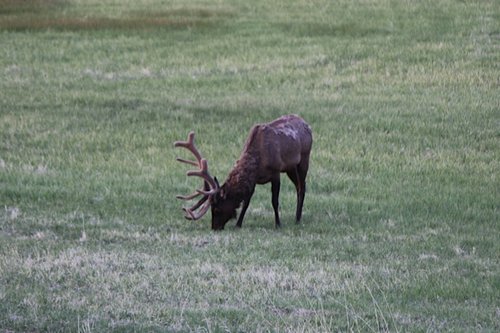 IMG_5035.jpg
