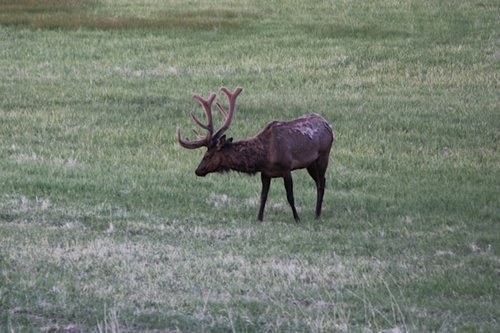 IMG_5038.jpg