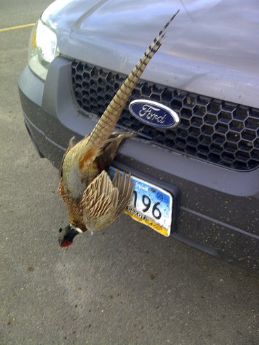 IMG-20110607-00004.jpg IMG-20110607-00004.jpg