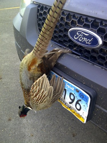 IMG-20110607-00007.jpg IMG-20110607-00007.jpg