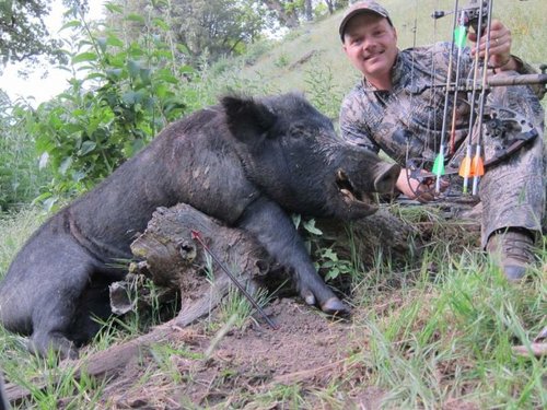 rsz_nate_tejon_bow_boar[1].jpg