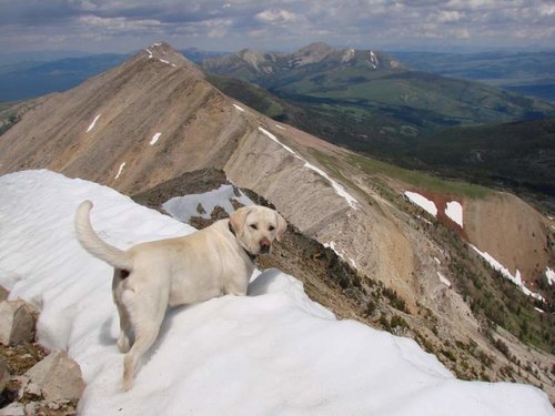 DSC09037.jpg DSC09037.jpg