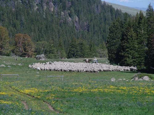 DSC09066.jpg DSC09066.jpg