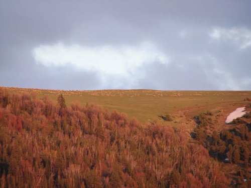 DSC09060.jpg DSC09060.jpg