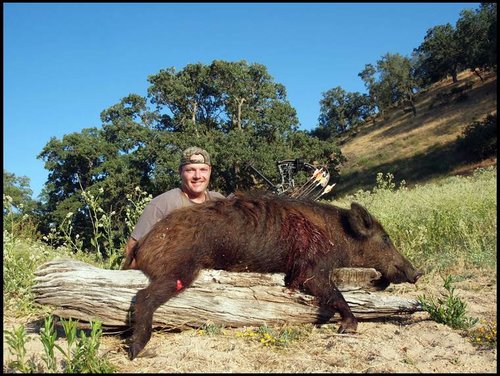 nate tejon red pig.jpg