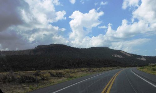 Alpine 1.jpg