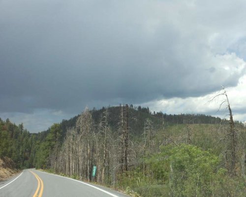 DSCN0096.jpg