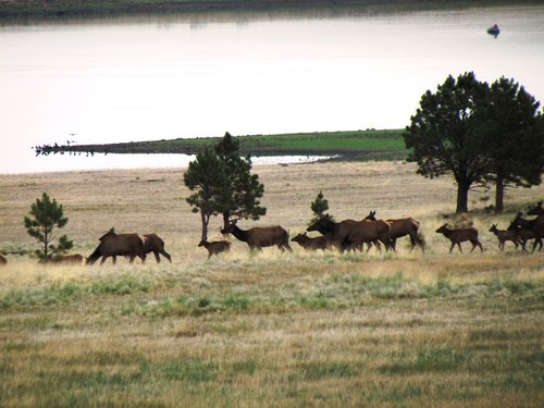 Sunrise group 2.jpg
