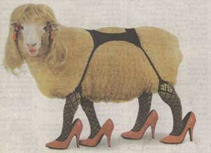 Montana Hooker.jpg