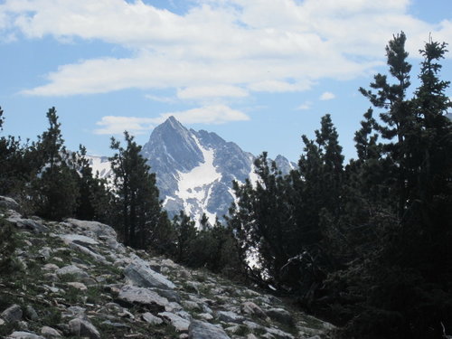 IMG_wedge2.jpg