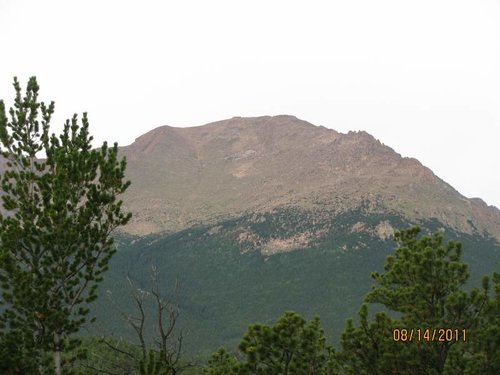 IMG_3466.jpg