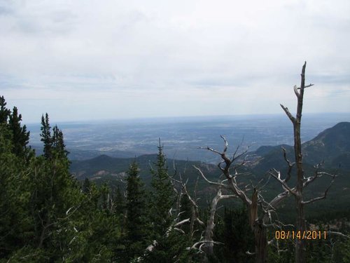 IMG_3470.jpg
