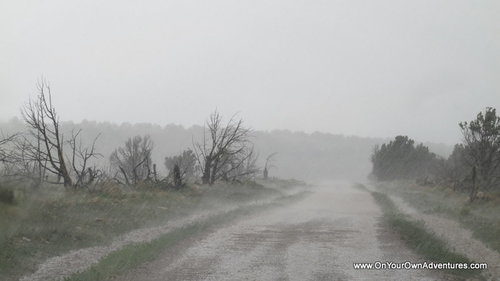 IMG_0729.JPG IMG_0729.JPG