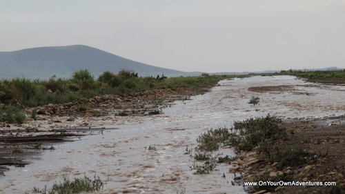 IMG_0740.JPG IMG_0740.JPG