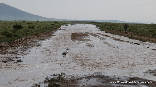 IMG_0741.JPG IMG_0741.JPG