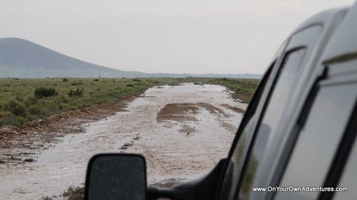 IMG_0743.JPG IMG_0743.JPG