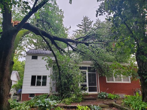 20200810_142635.jpg 20200810_142635.jpg