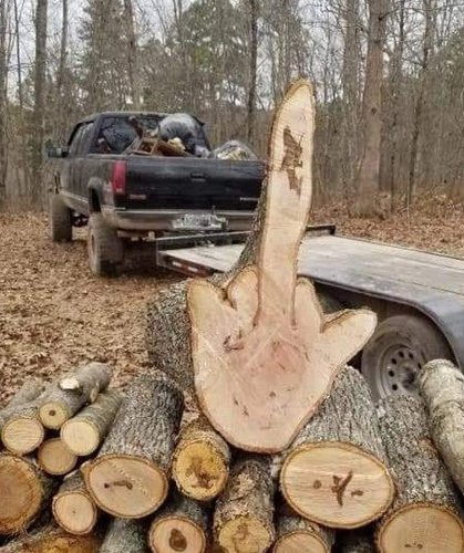 Wood Pile - Flippin The Bird.jpg