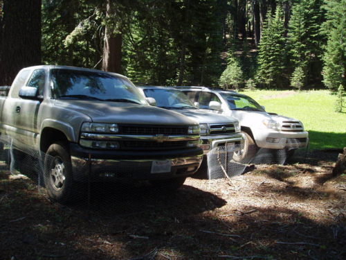 1597246906496.png 1597246906496.png