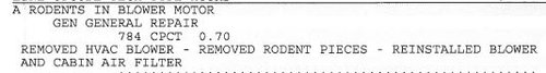 rodent capture.JPG rodent capture.JPG