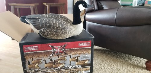 20200128_132047.jpg 20200128_132047.jpg