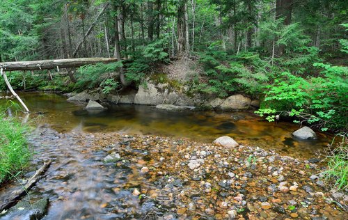 DSC_2342_336re.JPG